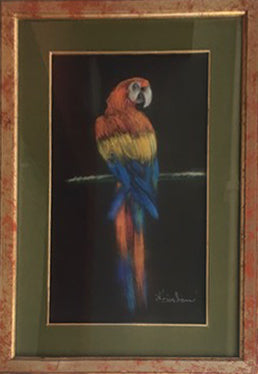 Antonio D'Arliano - Untitled