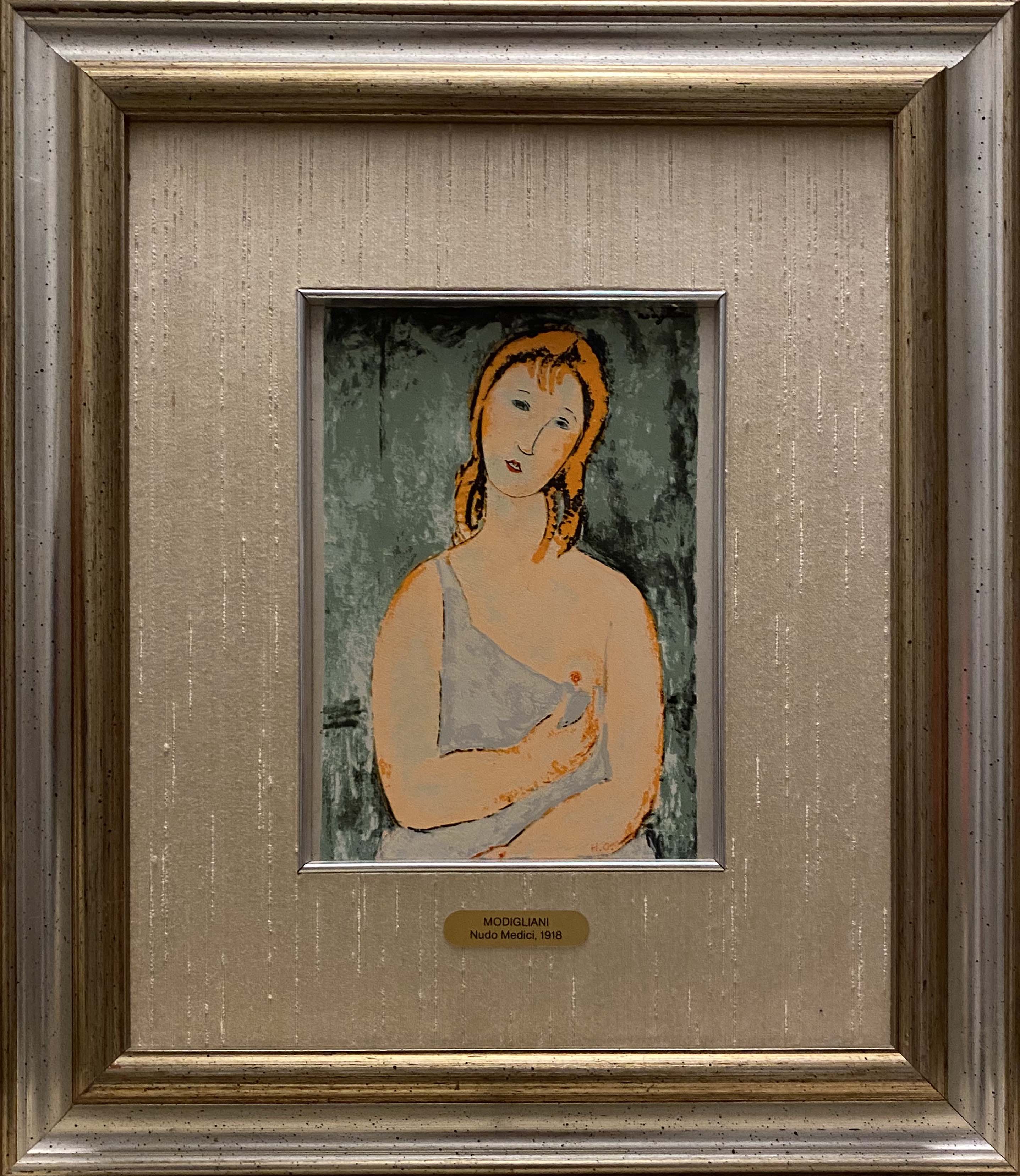 Amedeo Modigliani - Medici desnudo