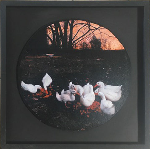 Red Duck - Untitled