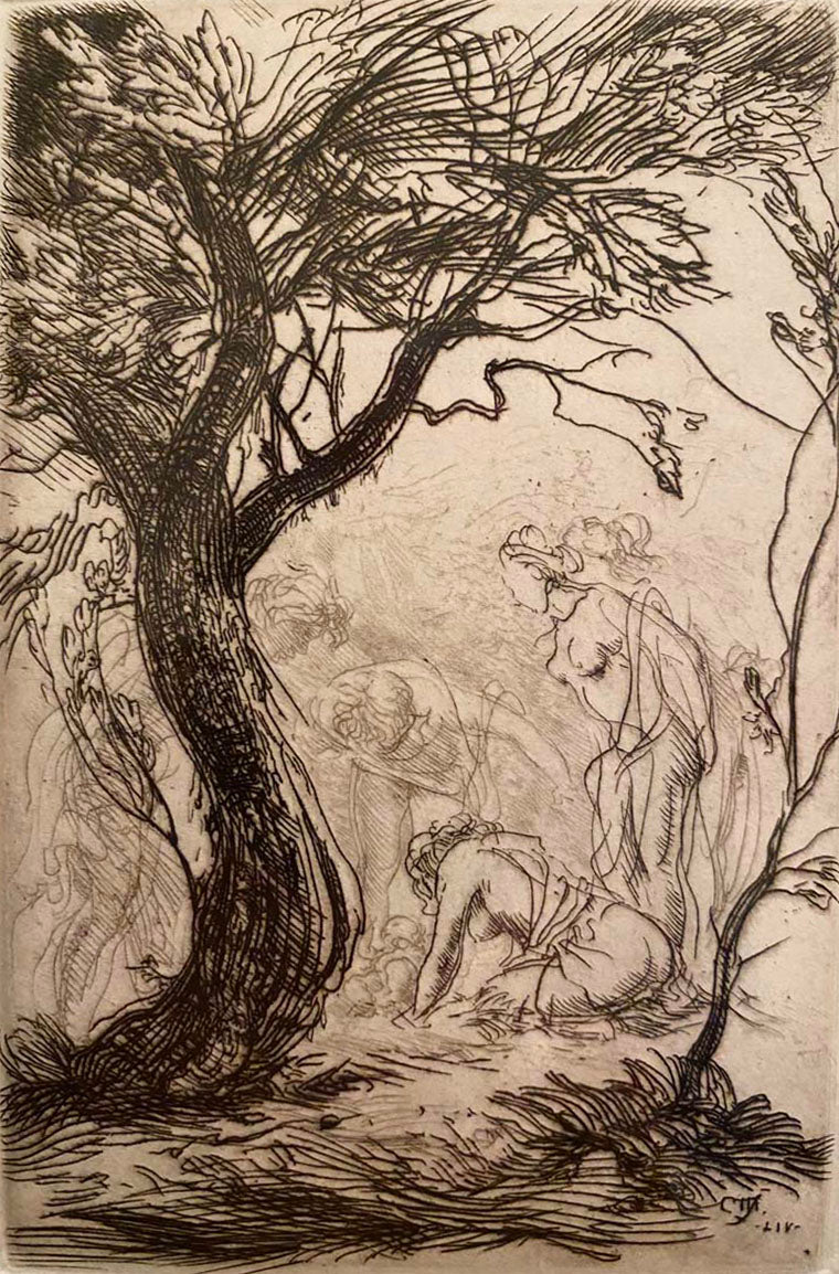 Pietro Annigoni - Untitled