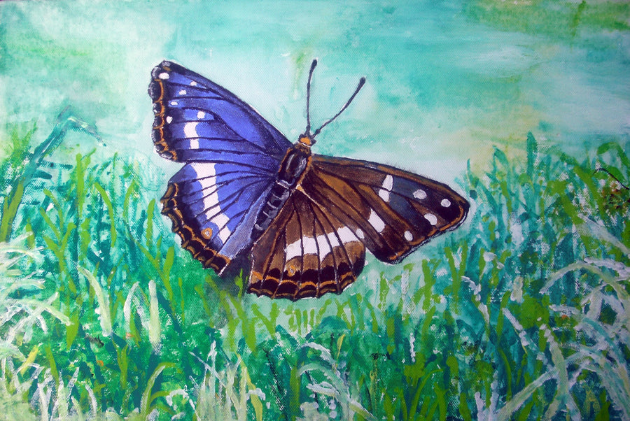Ivo Pillai - Mariposa