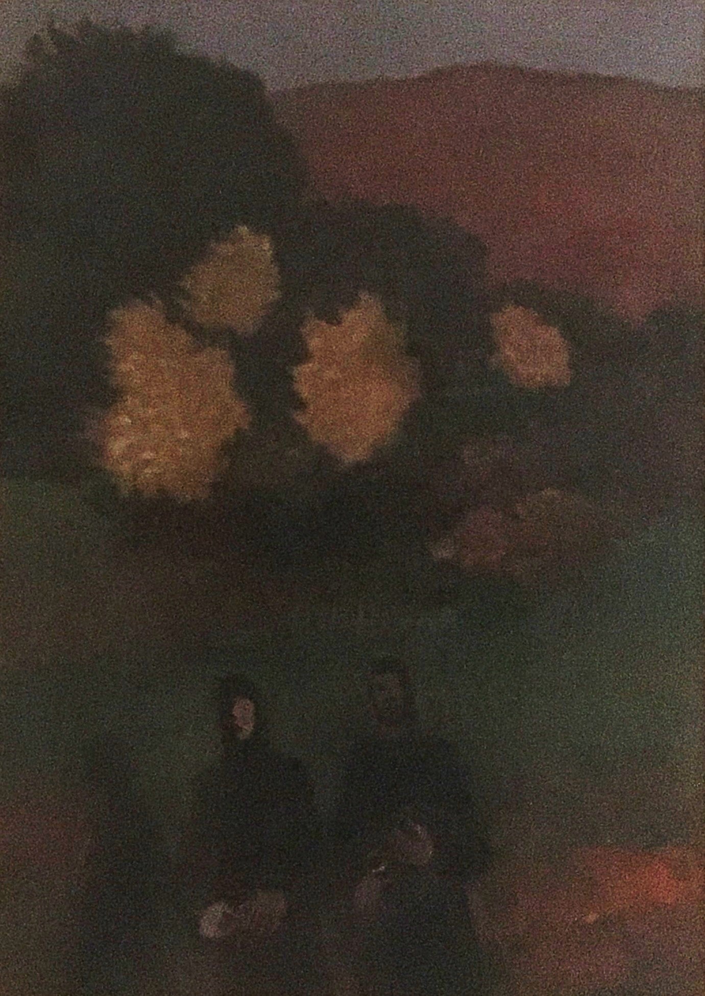 Giuseppe Marino - La barcaccia