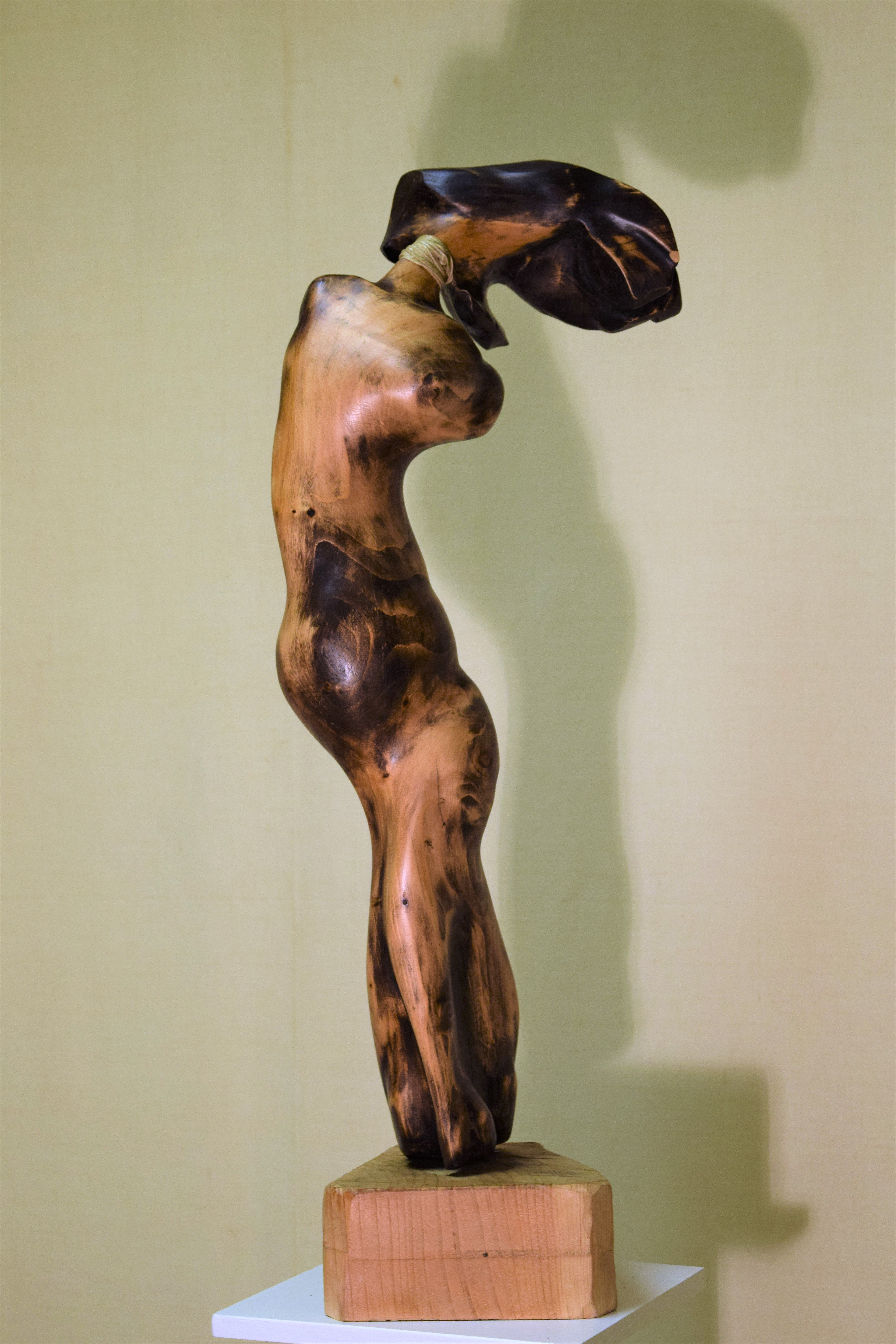 Pierluigi Concheri - Dama g