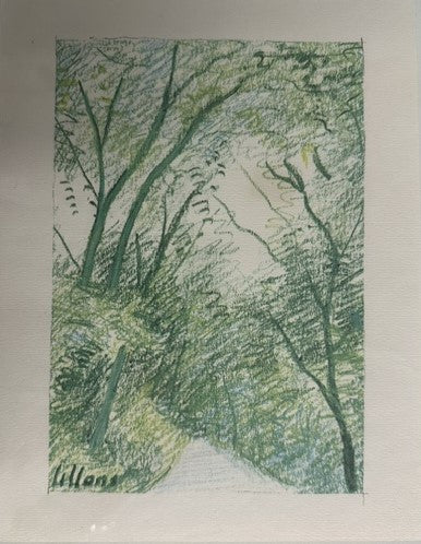 Alberi - pastello su carta - Umberto Lilloni