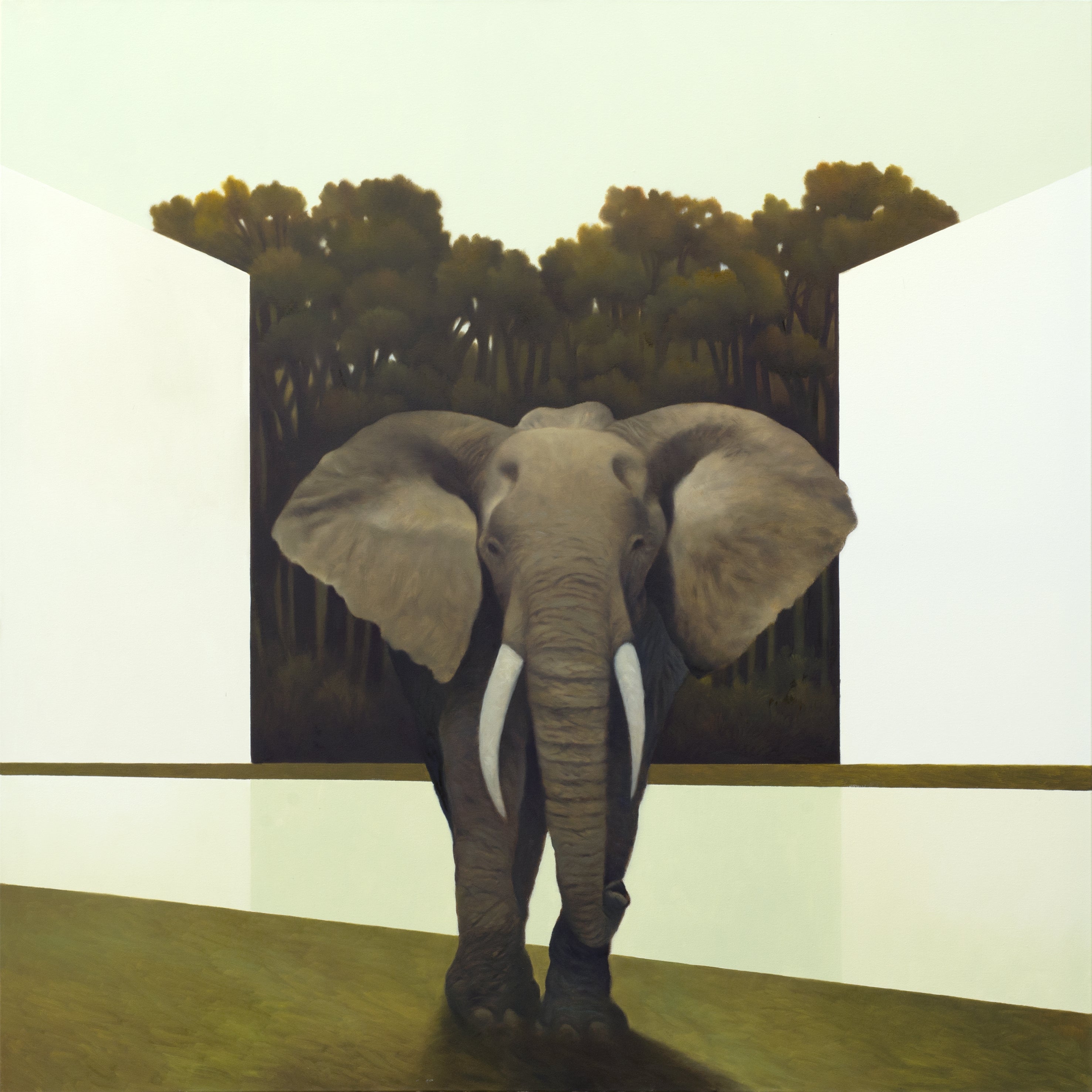Cesare Reggiani - La foresta rivelata