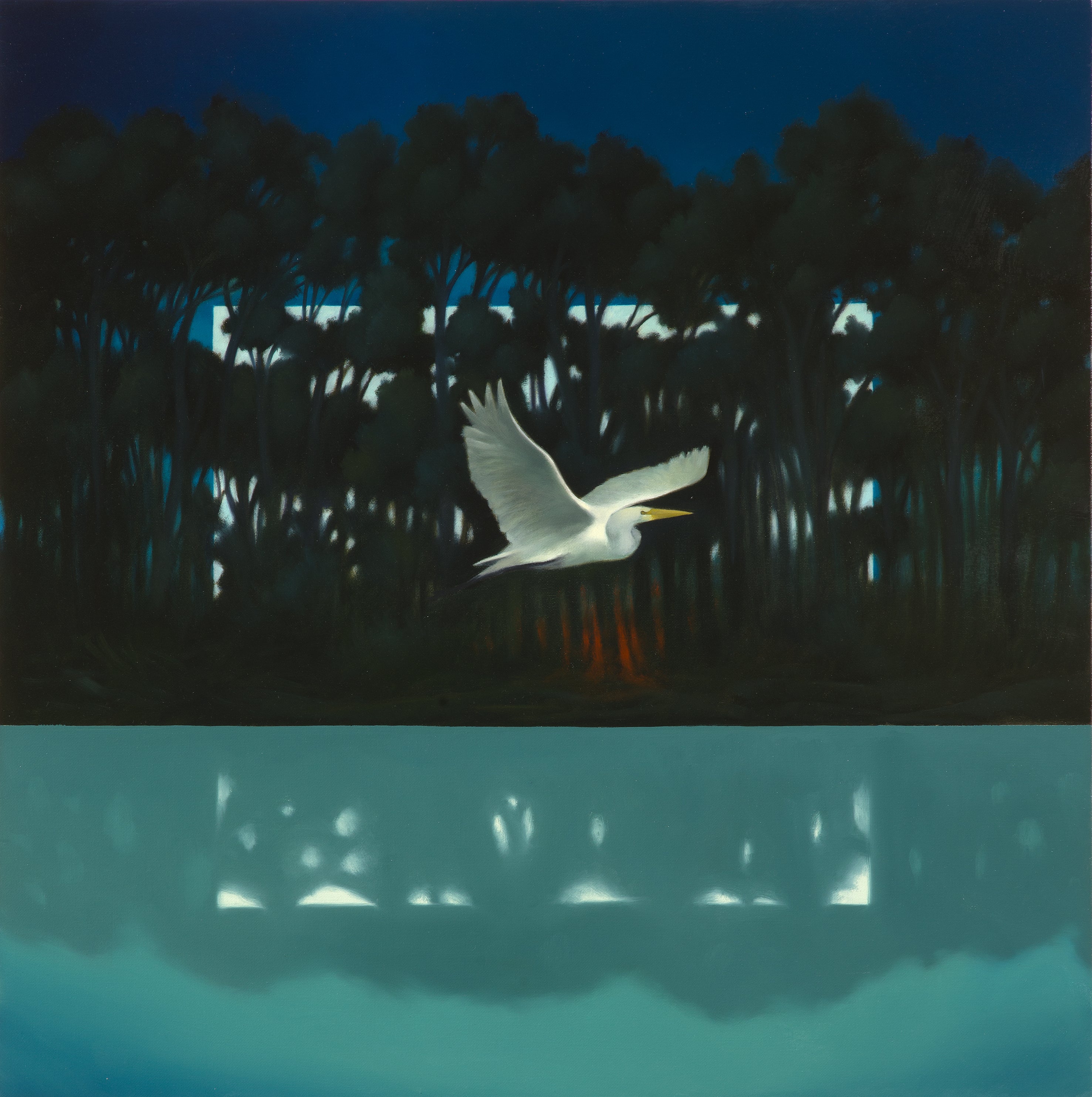 Cesare Reggiani - La notte disvelata