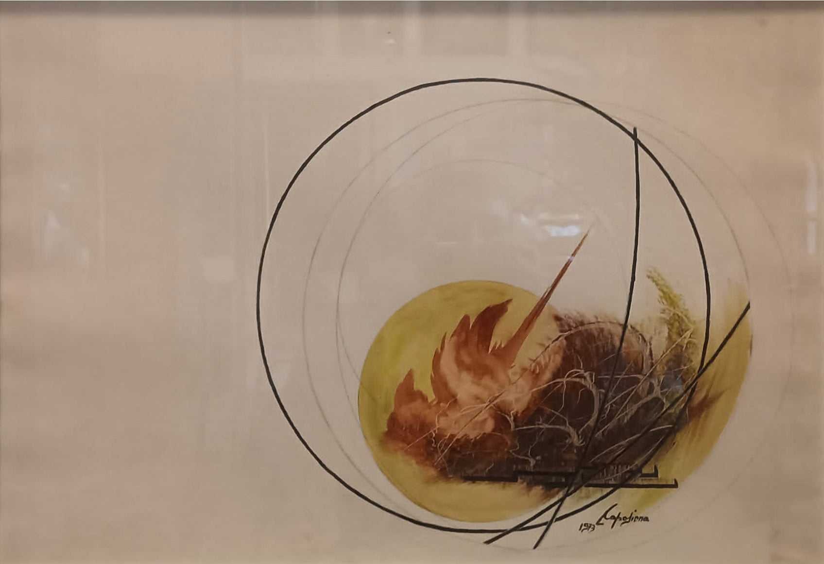 Leonardo Caposiena - Untitled