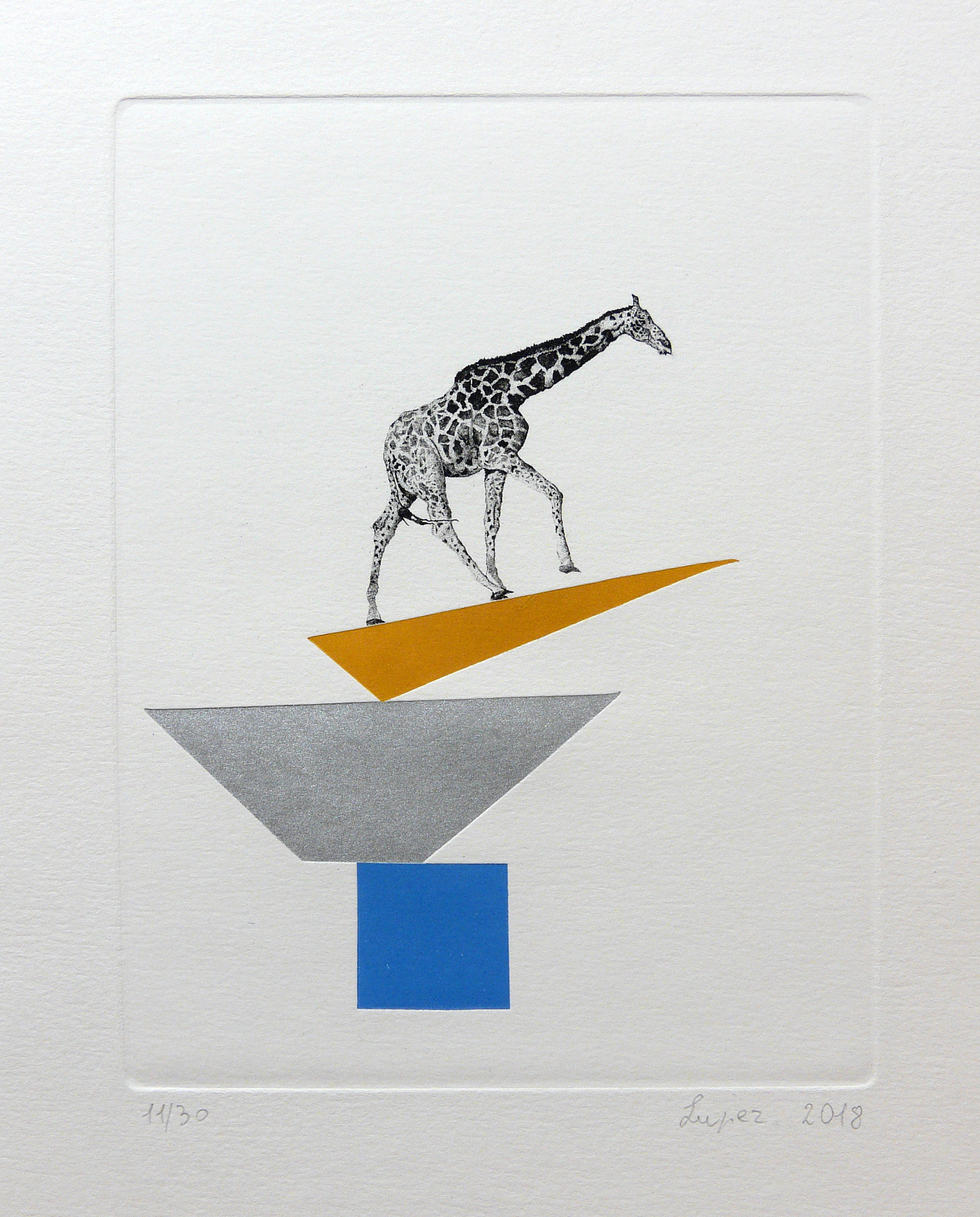 Lupez - Equilibrios inestables - Jirafa