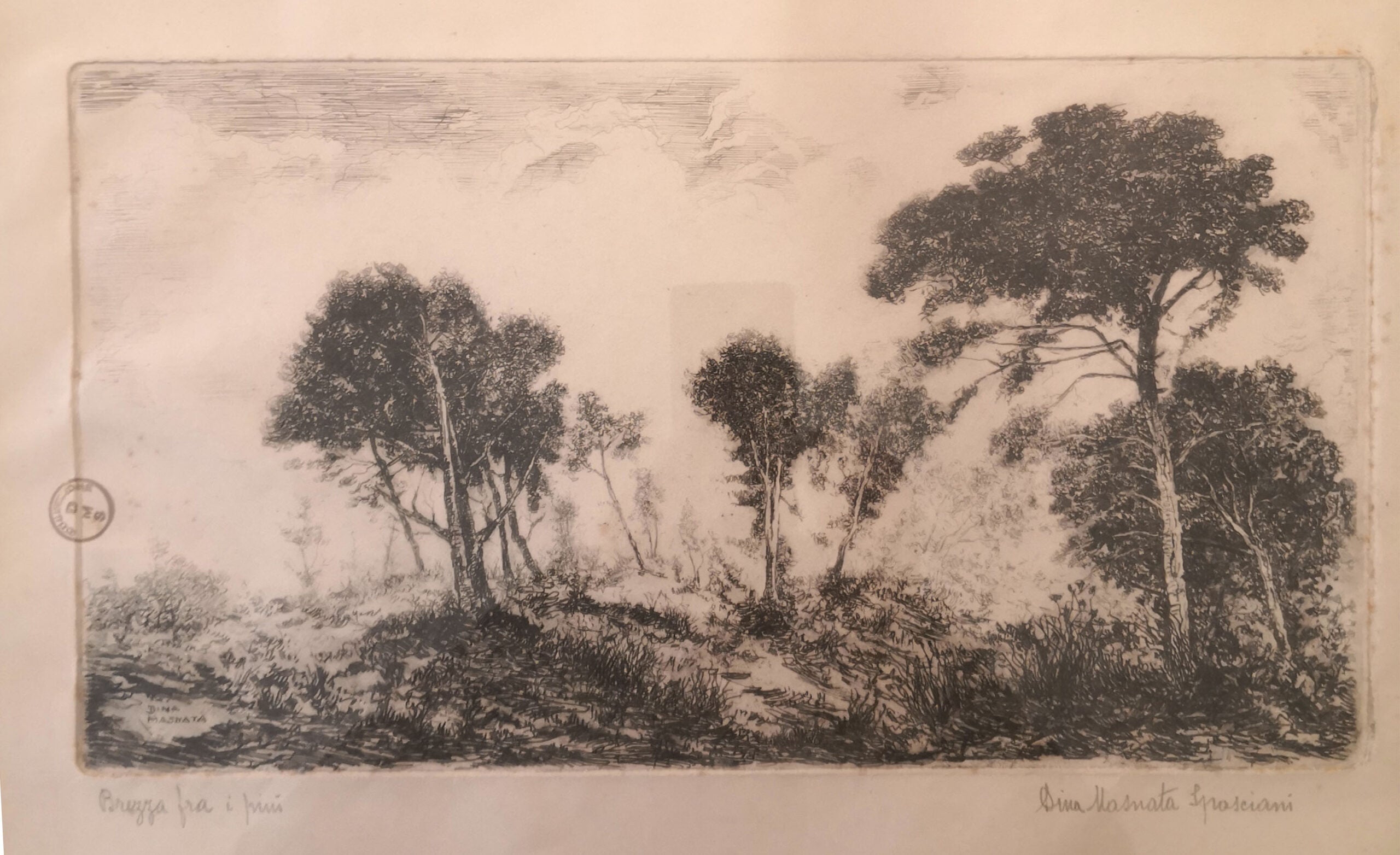Dina Masnata Spasciani - Breeze among the pines