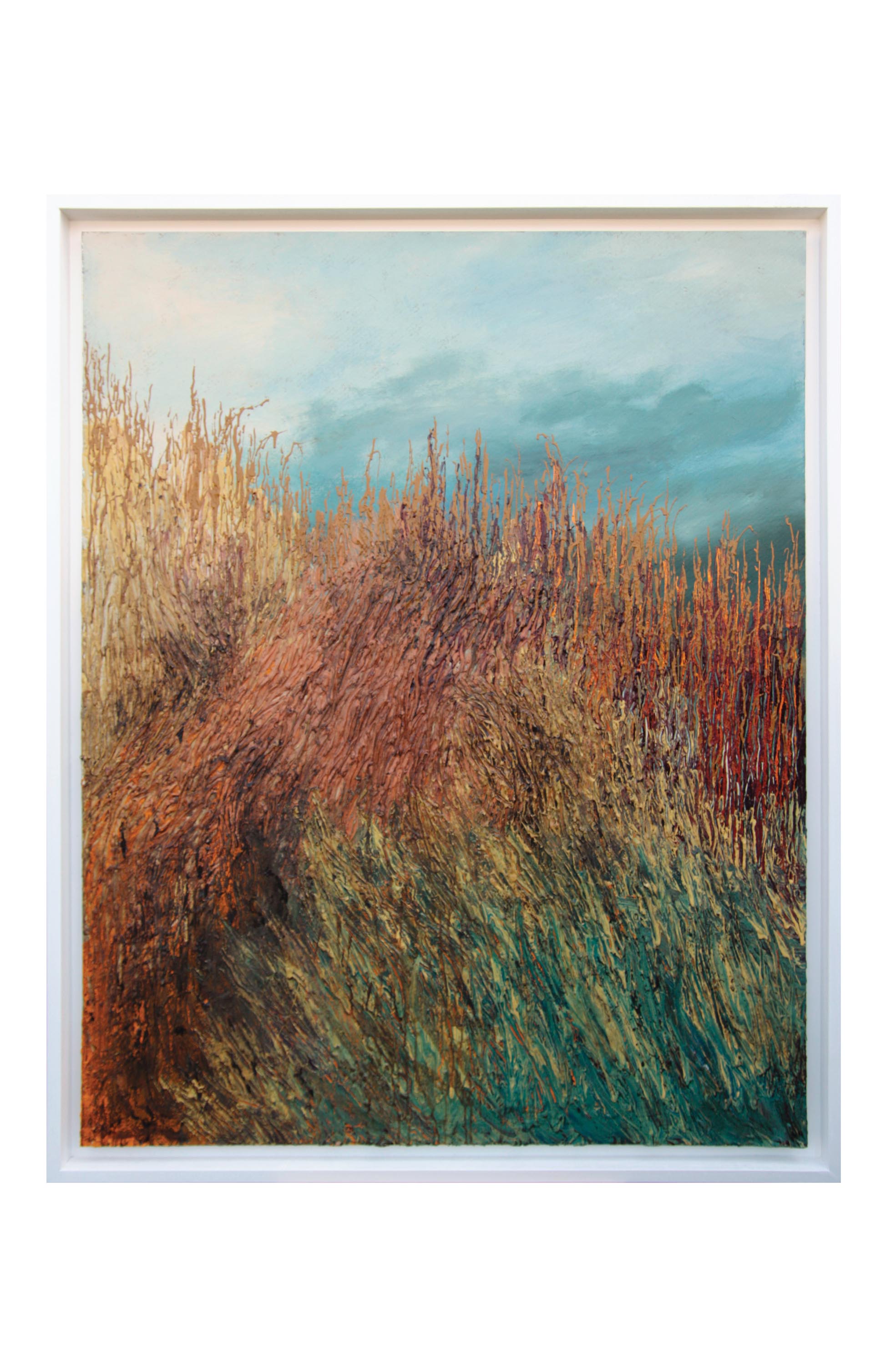 Fabrizio Sola - October's Weaves and Colors