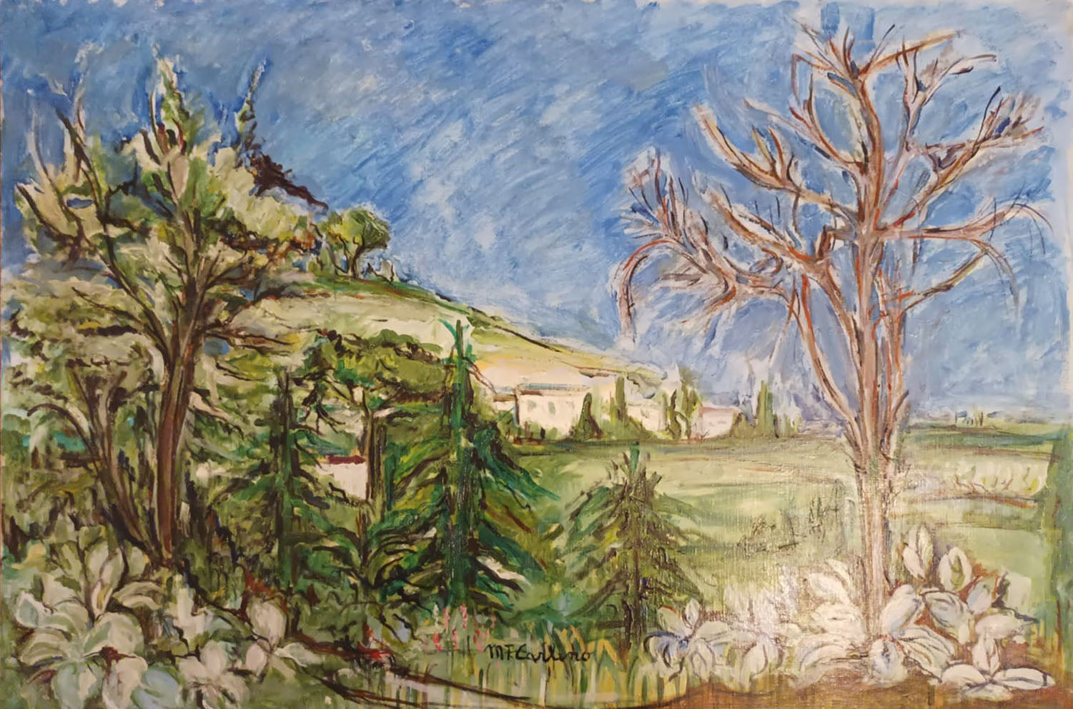 M. Carlino - Paisaje
