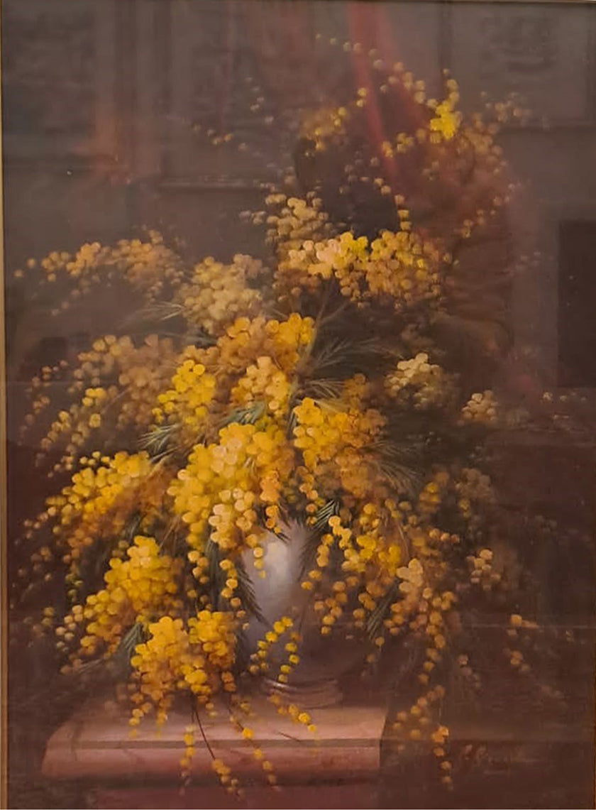 F. Giordano - Mimosas