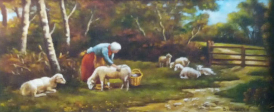 B. Mulachié - Pecore al pascolo - Contadine