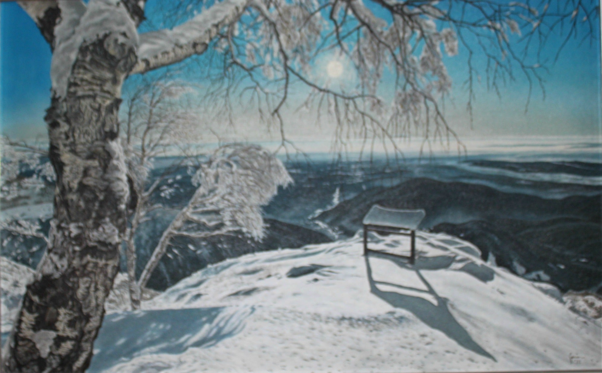 Mario Ferrari - Mezzogiorno sulla neve