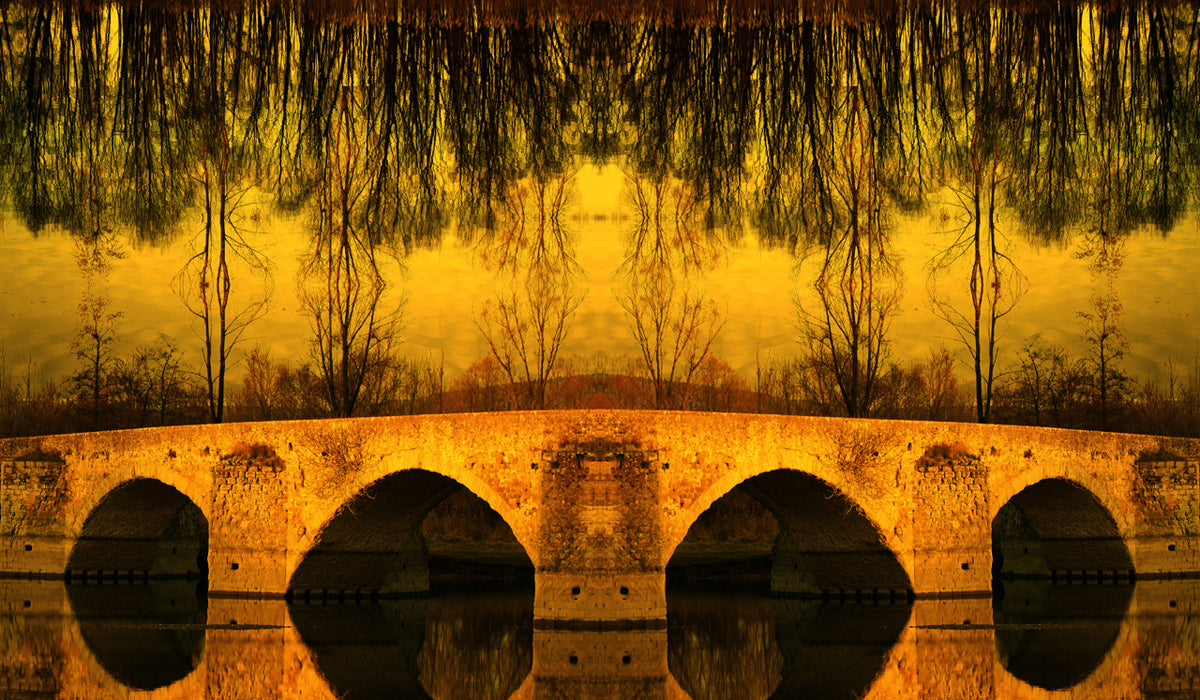 Mario Rotta - Into the Dreams: Un puente para Mona Lisa