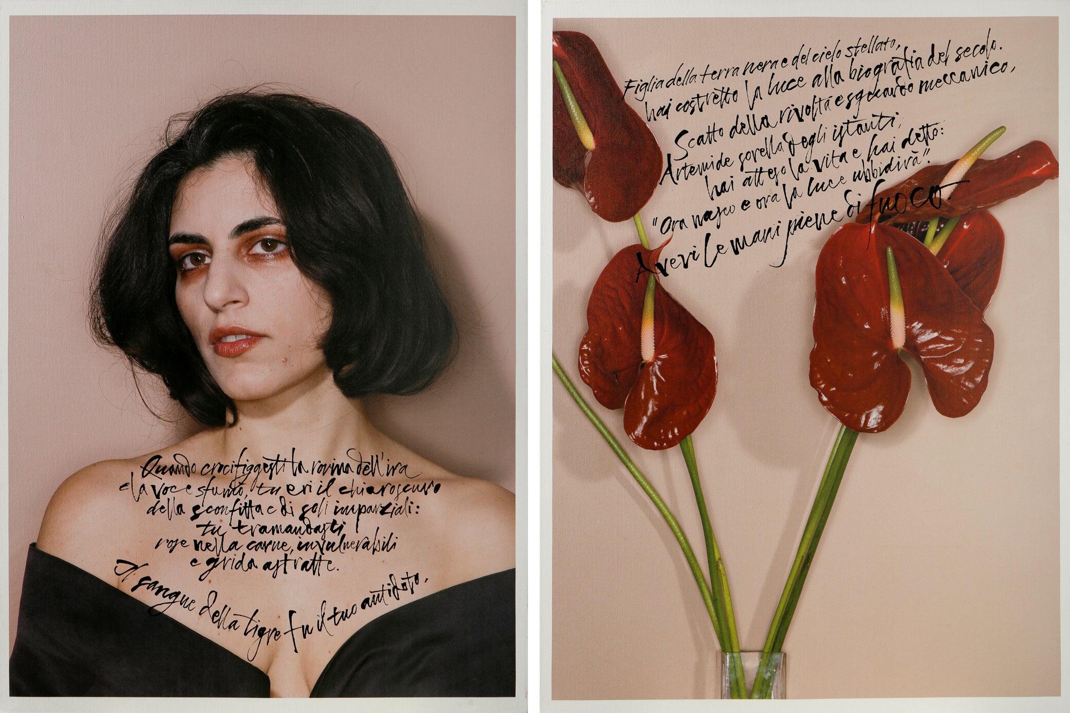 Mustafa Sabbagh - L'Esule con fiore rosso