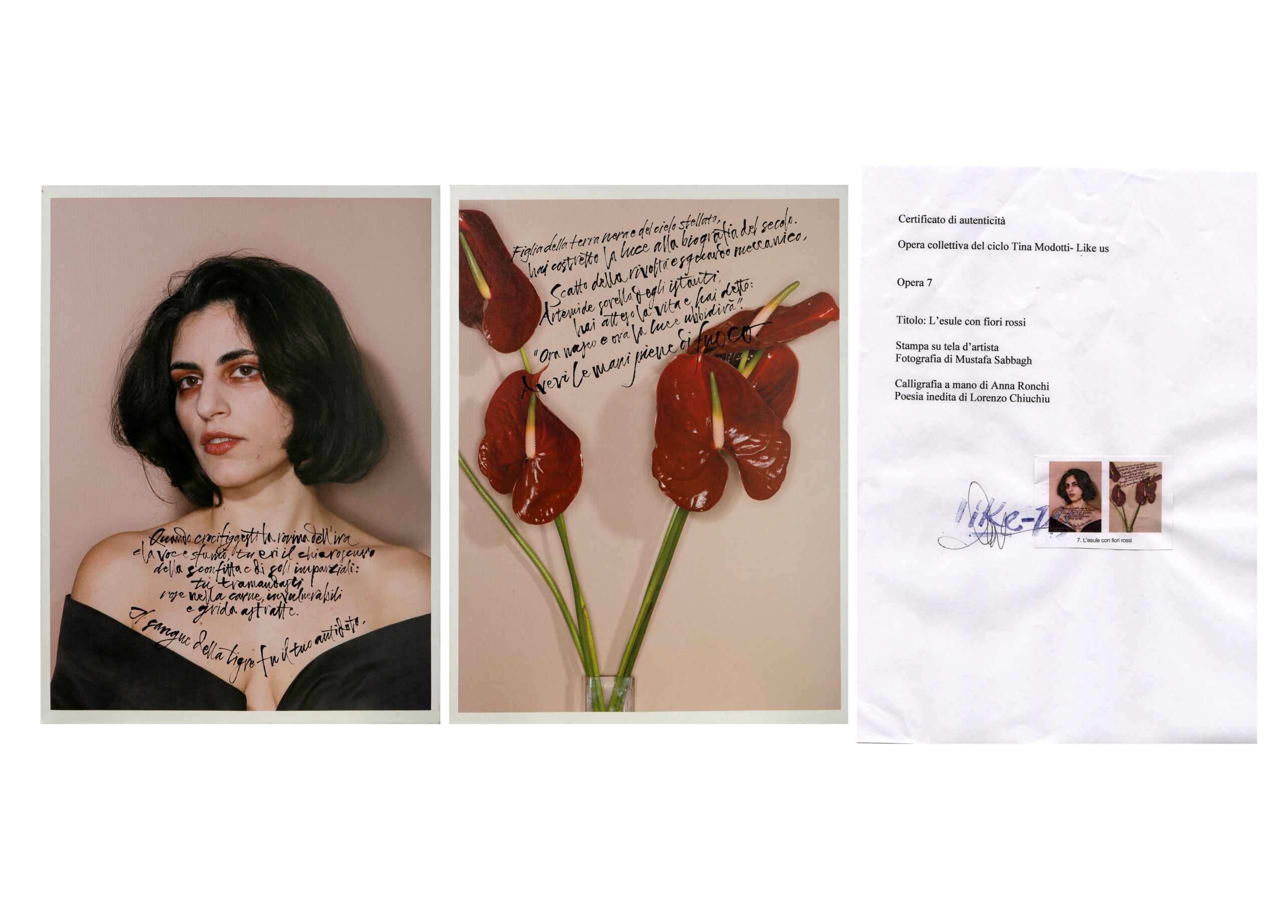 Mustafa Sabbagh - L'Esule con fiore rosso
