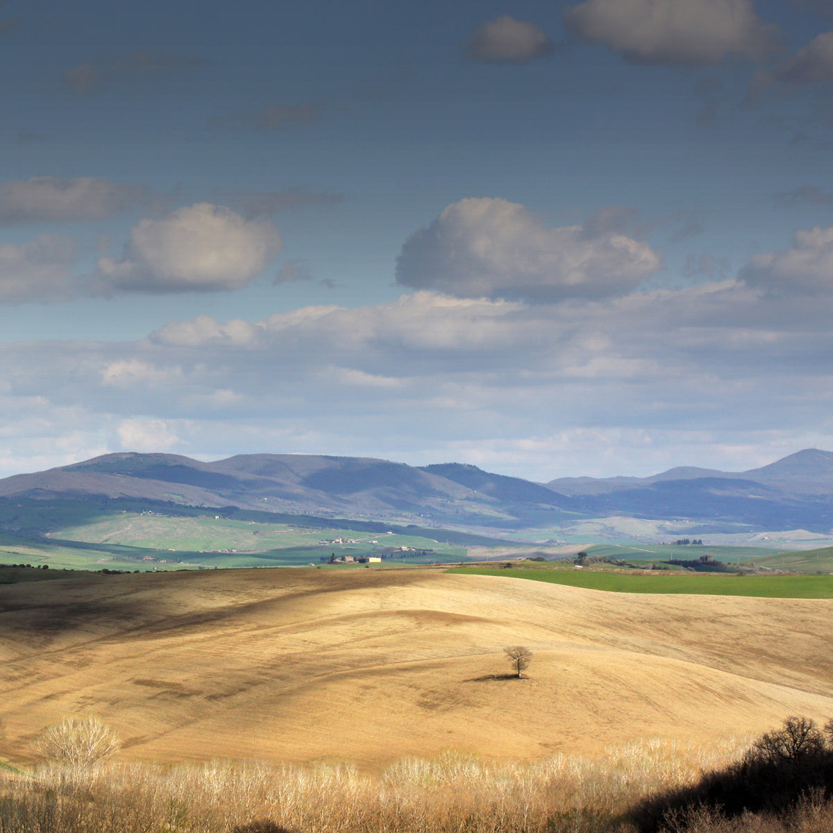 Mario Rotta - Open Space: Forever Tuscany