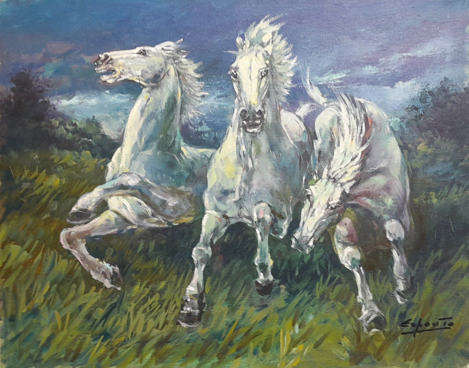 Esposito - Cavalli