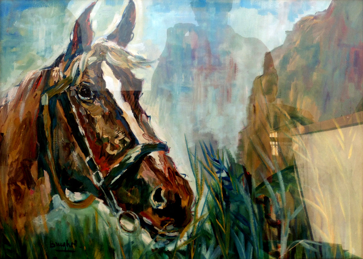 Alfredo Brughel - Testa di cavallo