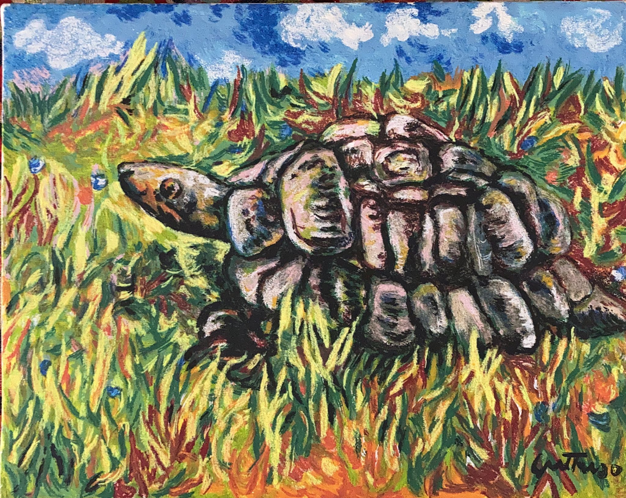 Renato Guttuso - Tartaruga