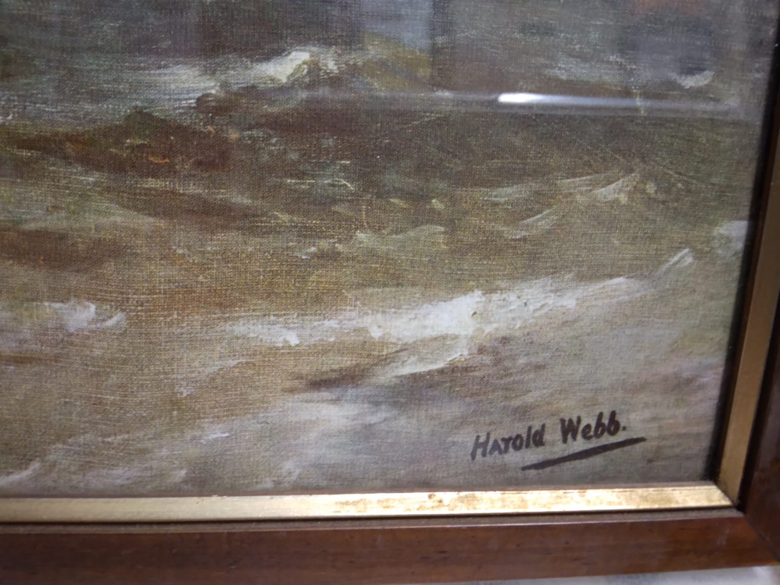 Harold Webb - Senza titolo
