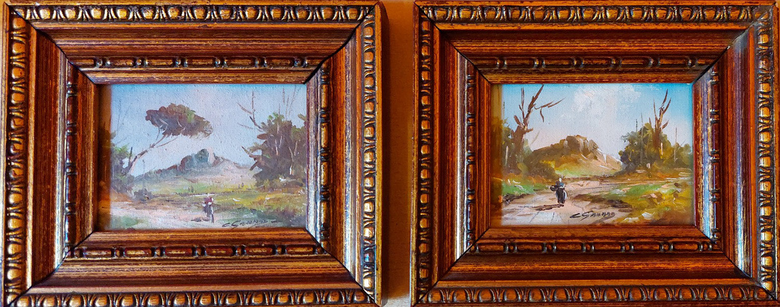 C. Grosso - Paisaje