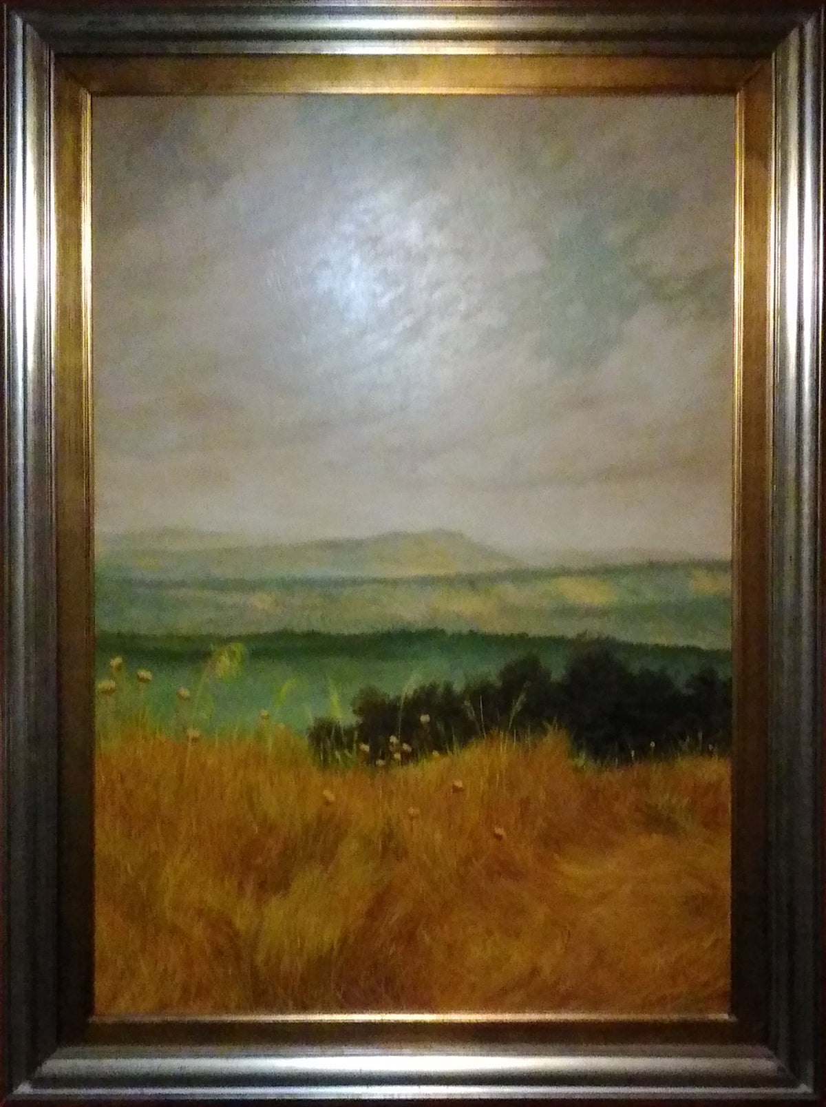 S. Buttua - Paisaje
