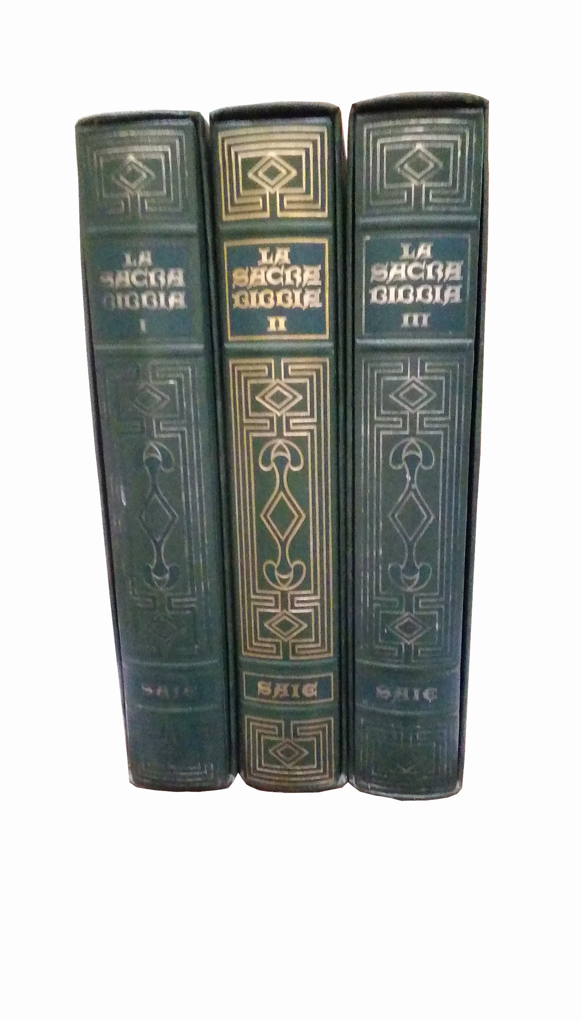 La Santa Biblia - Saie