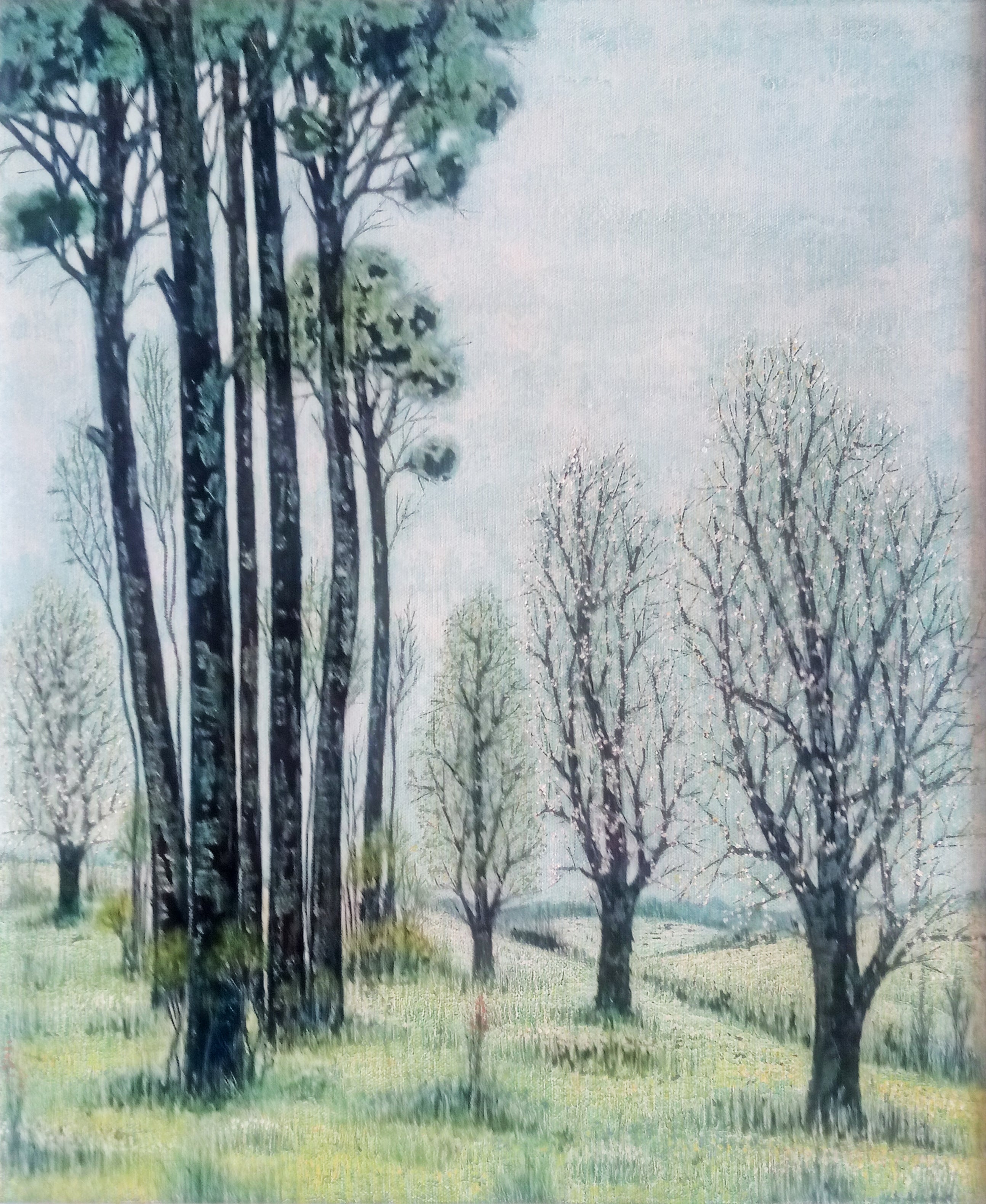 Bruno Di Pietro - Paisaje