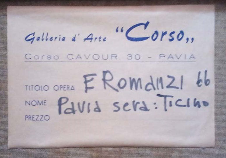 Romanzi - Pavia sera : Ticino