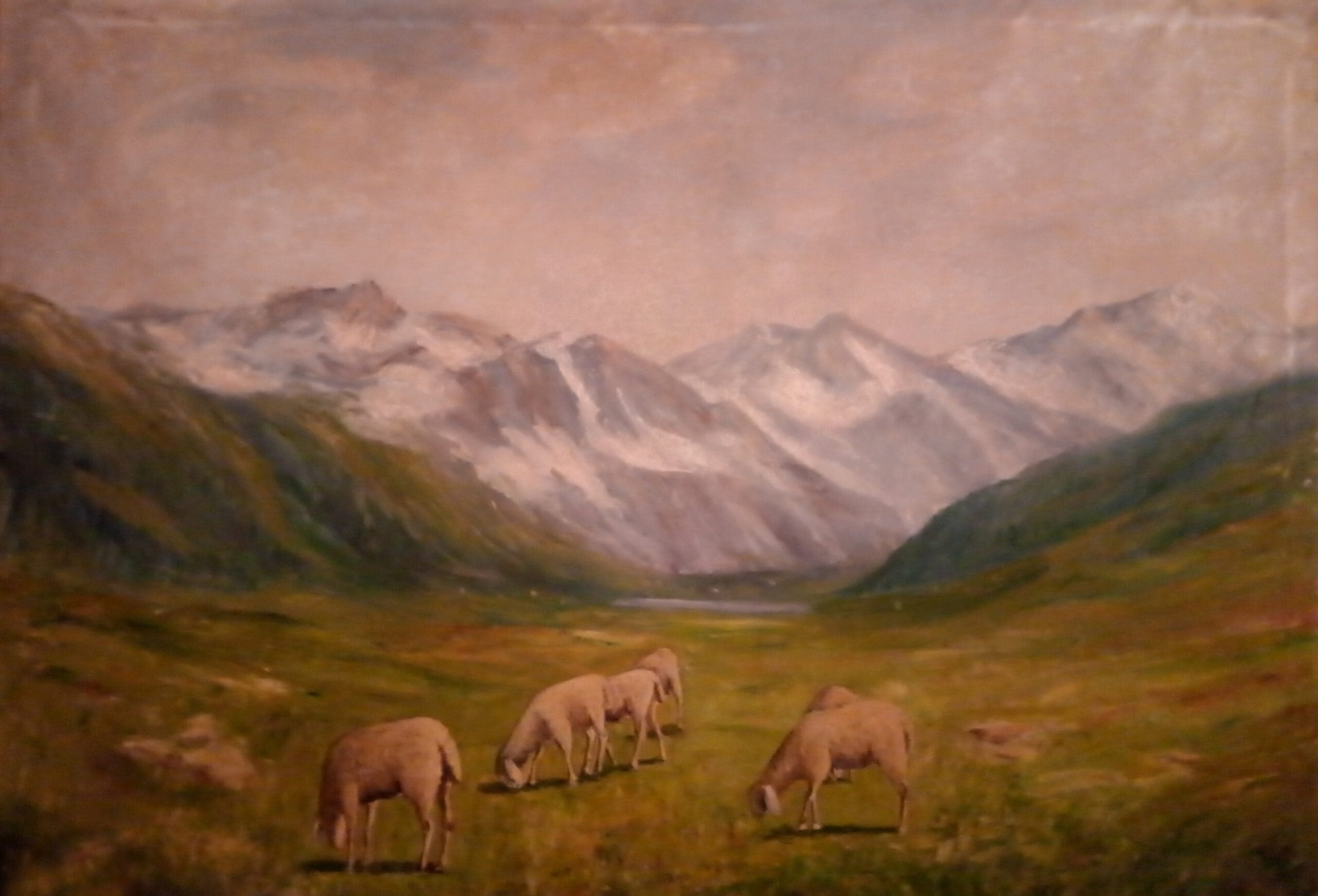 C. Corsi - Grazing Animals