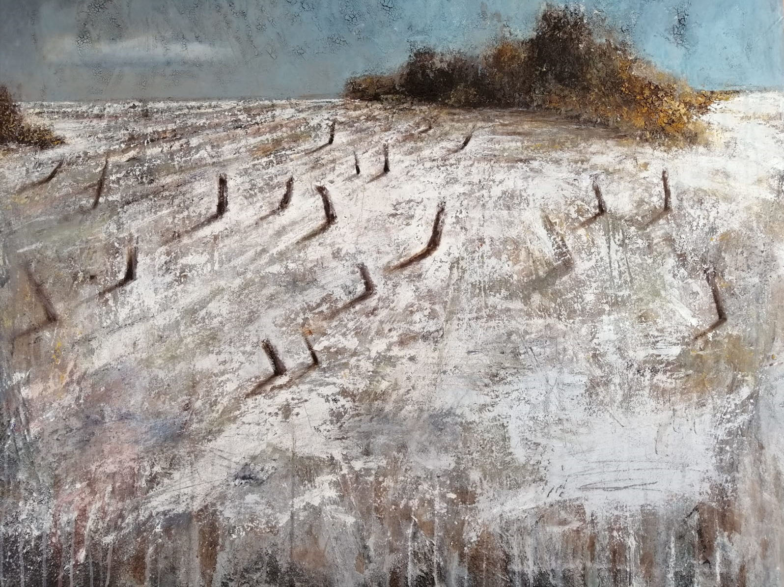 Luca Migliori - Snowy Landscape