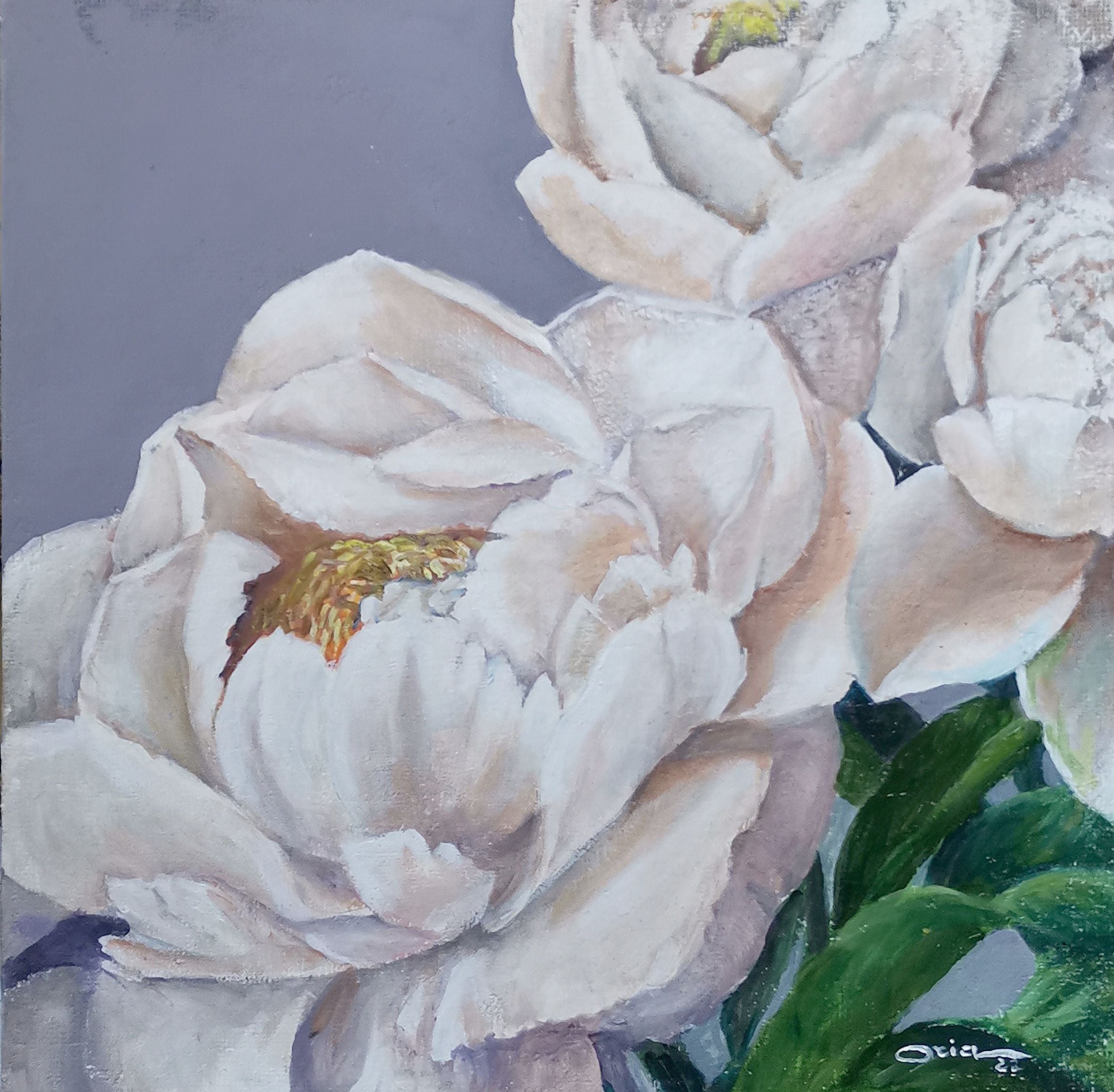 Oria Strobino - Peony