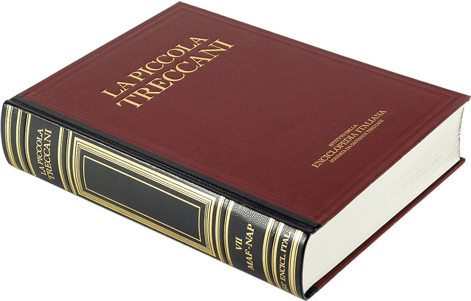 El pequeño Treccani - Treccani