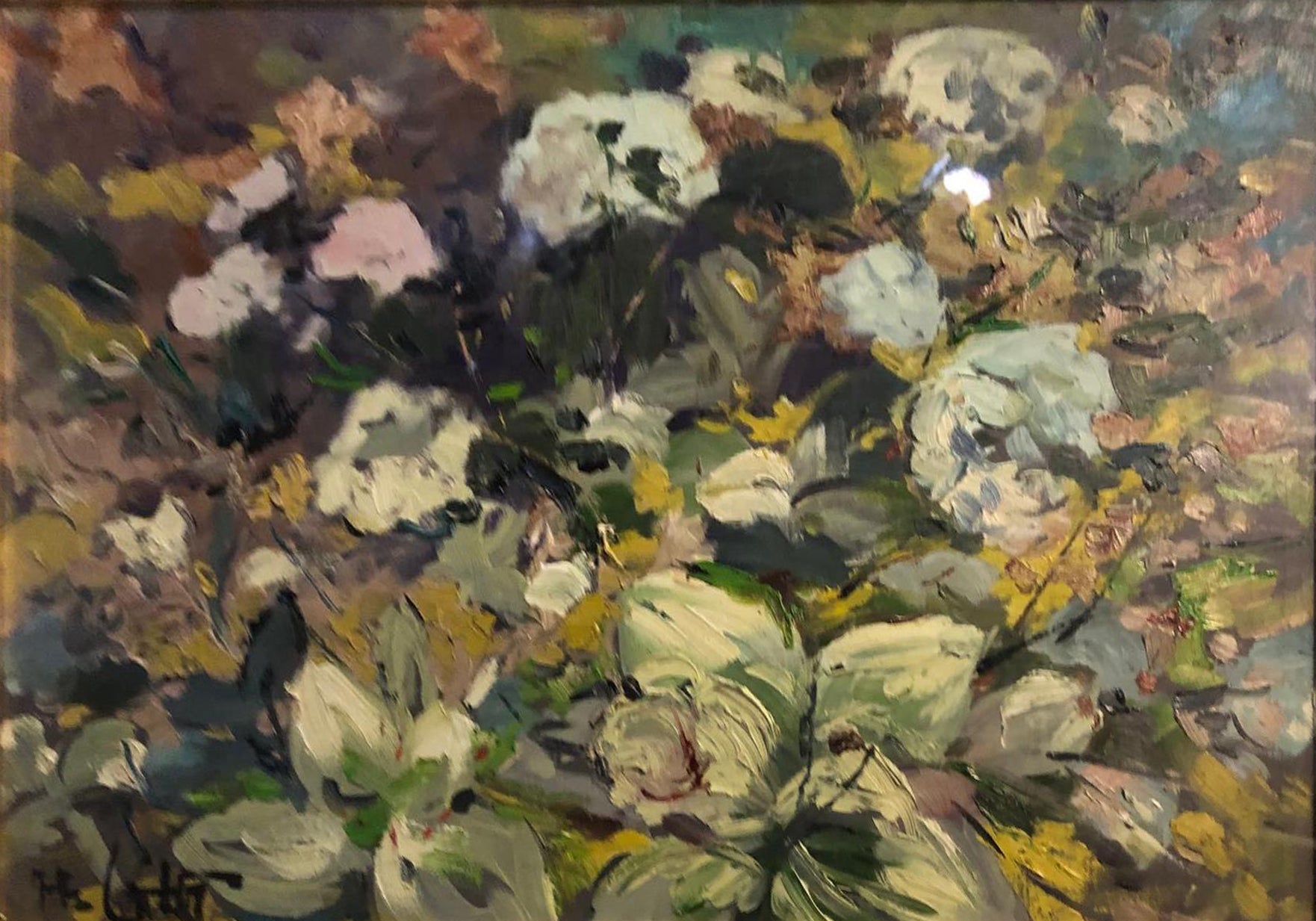 Cats - Flowers