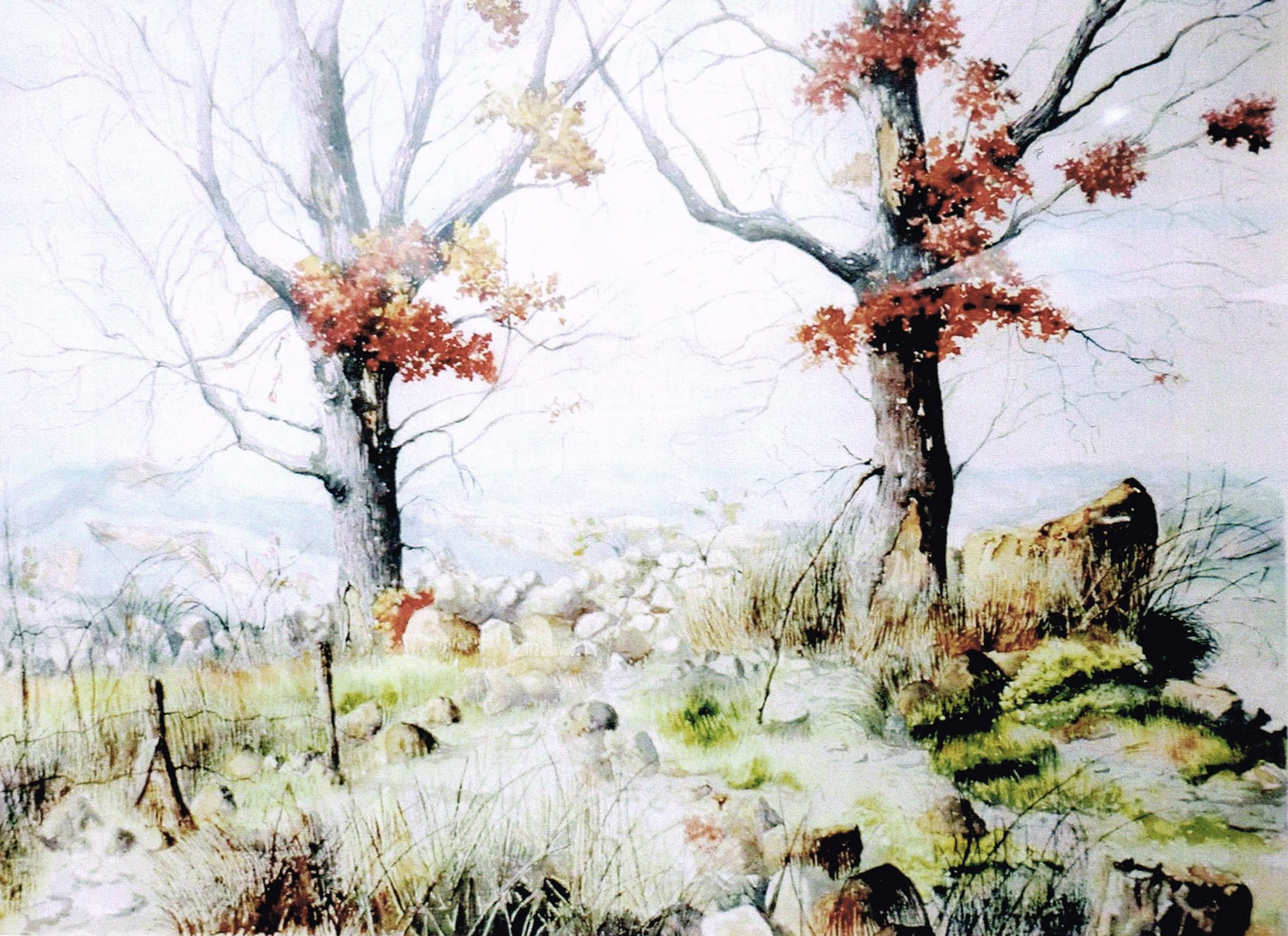 Claudio Pattarin - Oaks and Monzuno