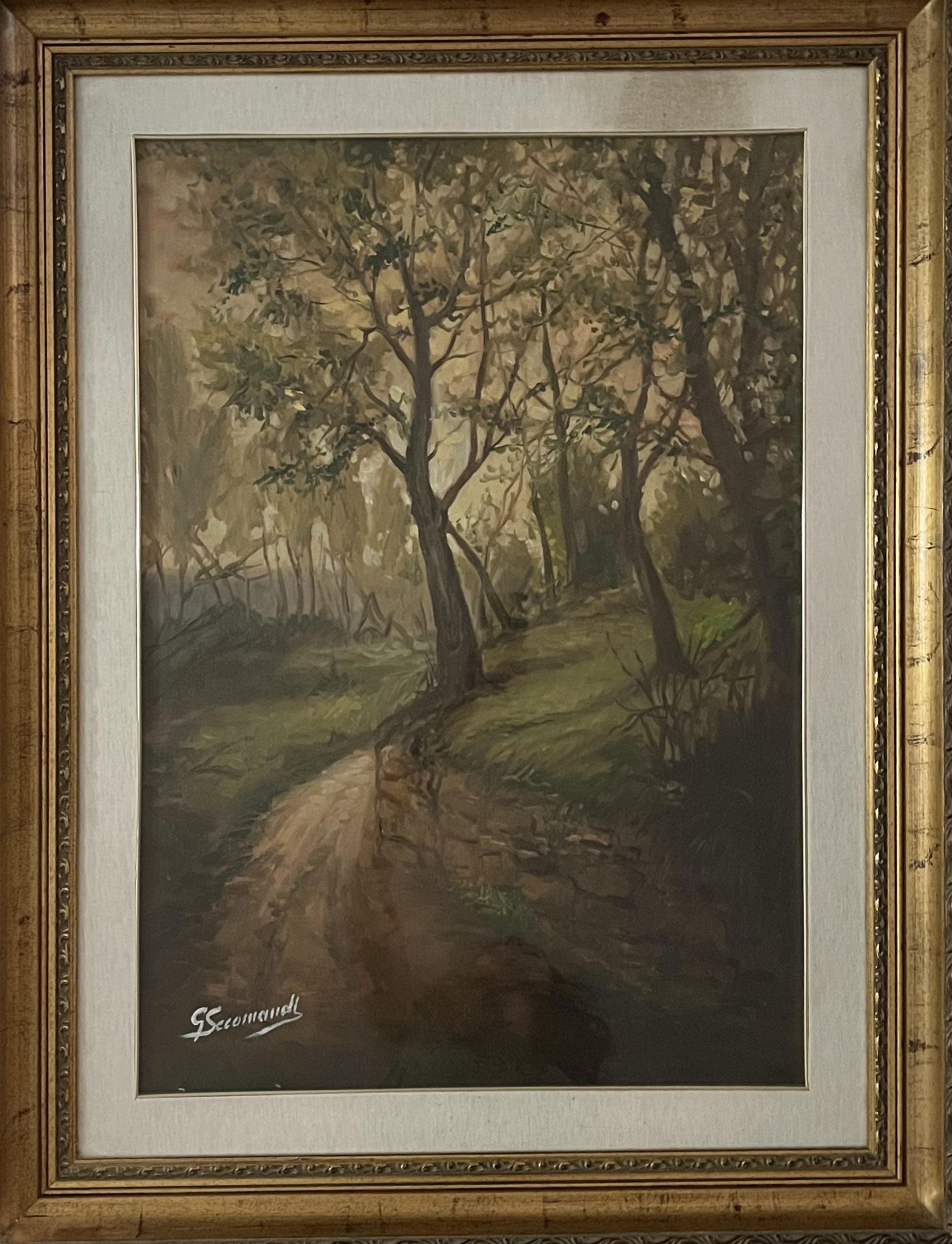 Giovanni Secomandi - Sentiero alberato