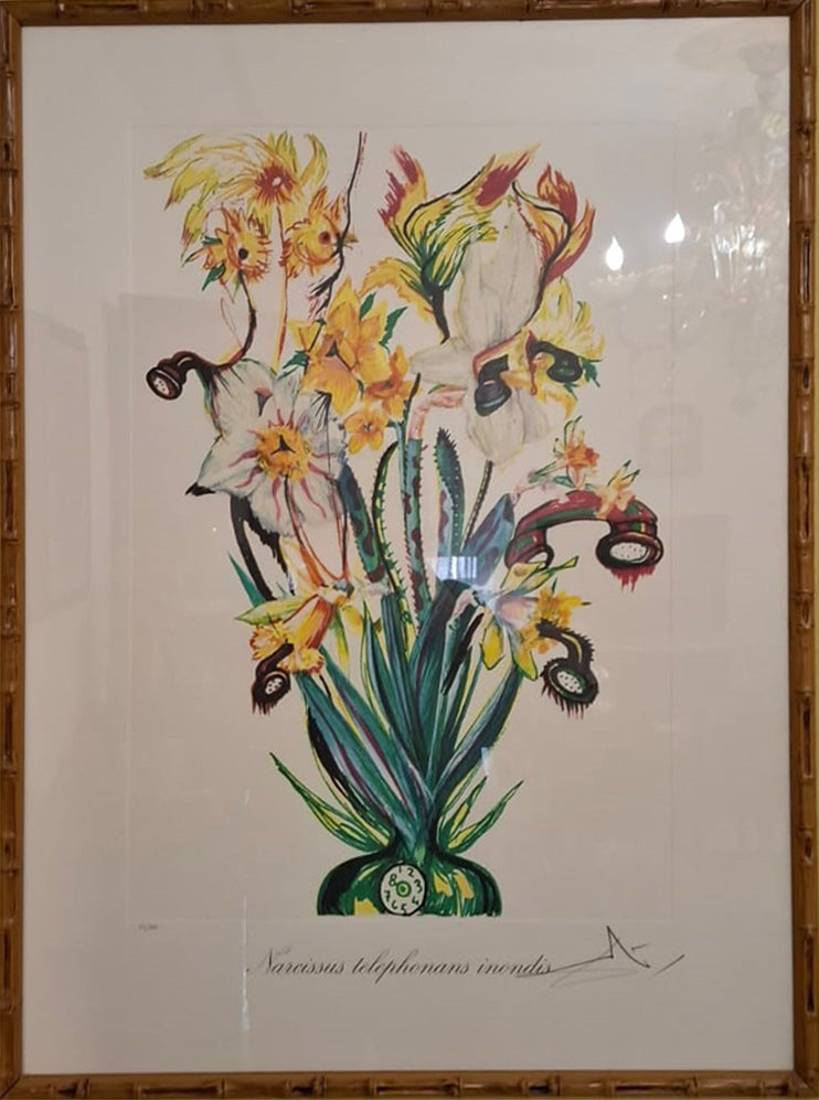 Salvador Dalí' - Narcissus telephonans inondis