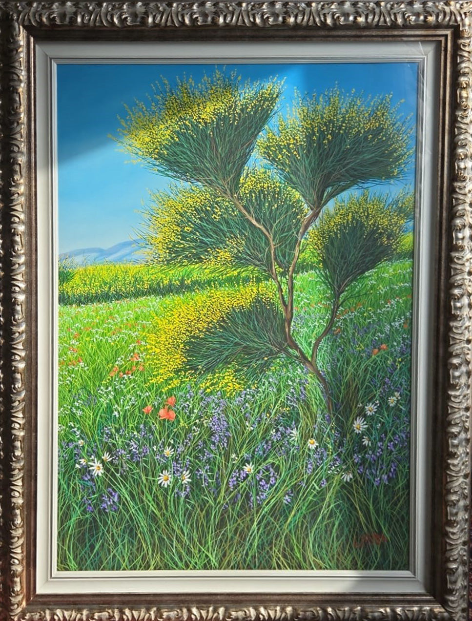 Giovanni Daurea - Flowering Brooms
