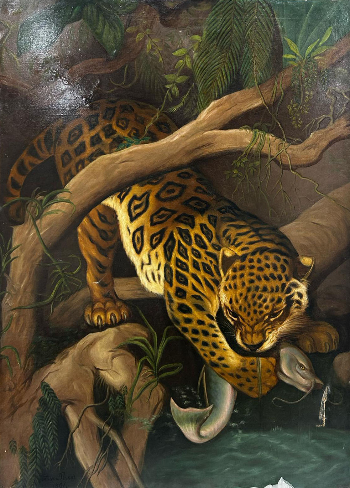 A. Von Pinkas - Jaguar