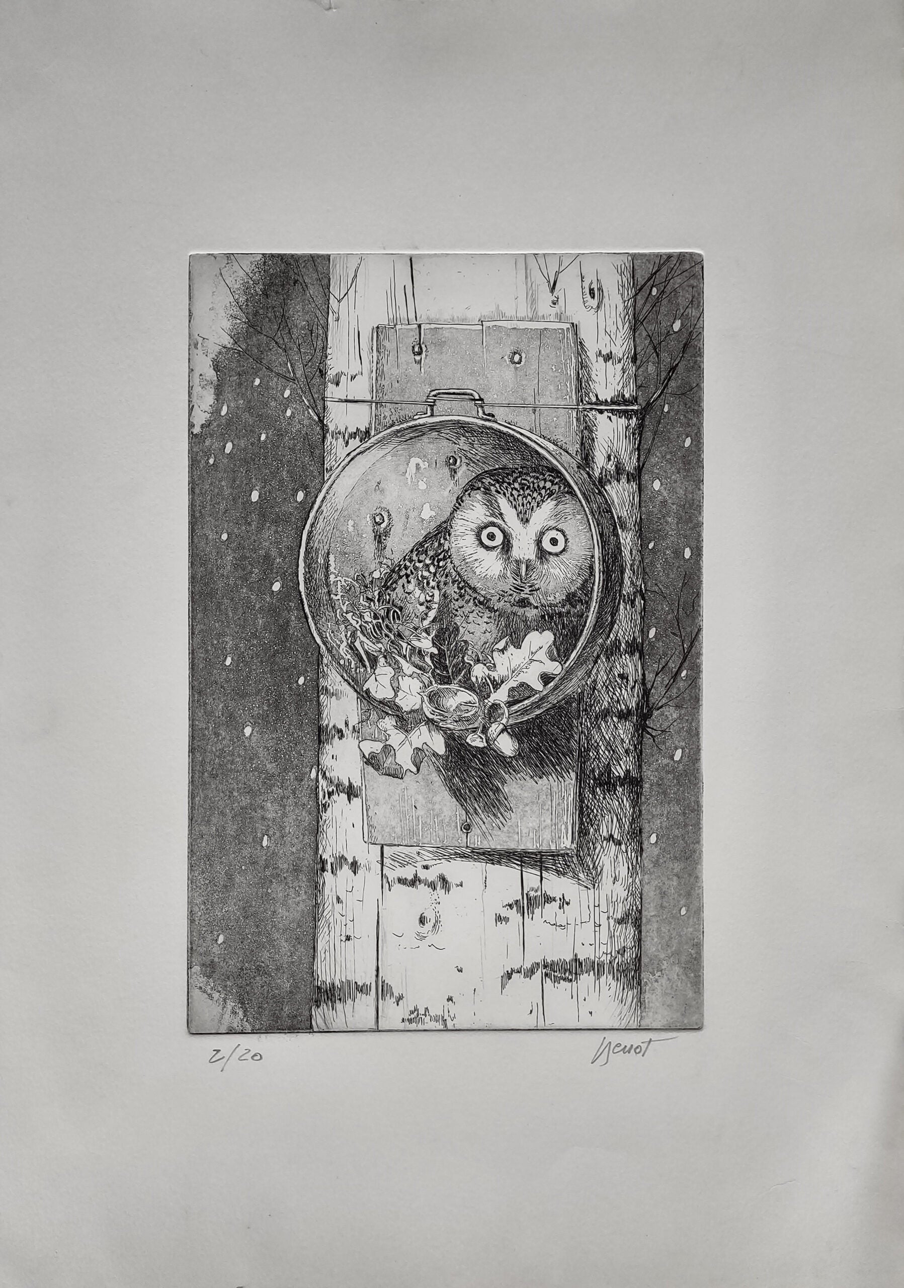 Luciano Spessot - Untitled (Owl)