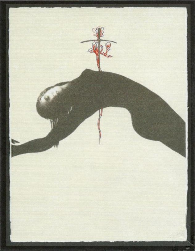 Omar Galliani - Nuevos Santos - Nuevas Flores: Opera 2 Red