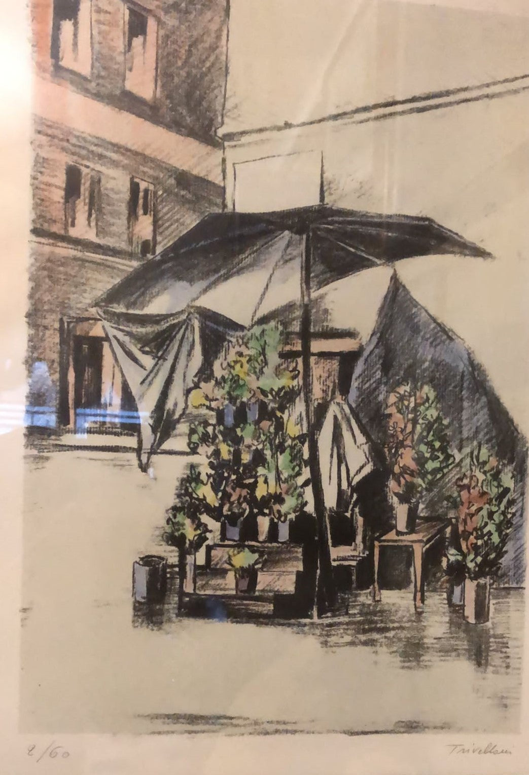 Quiosco de plantas - Romolo Trivelloni