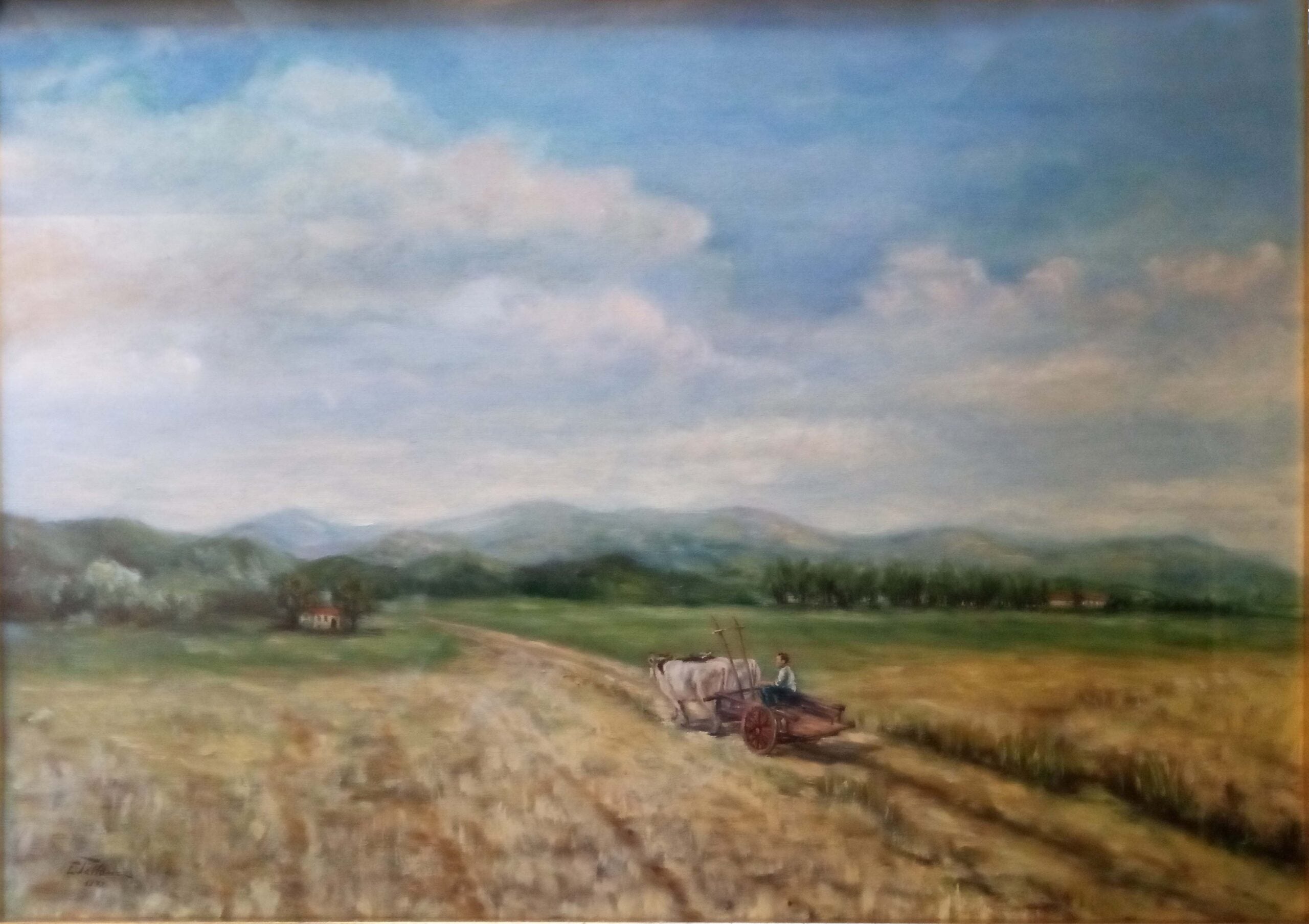 Enea Tallone - Wheat Field