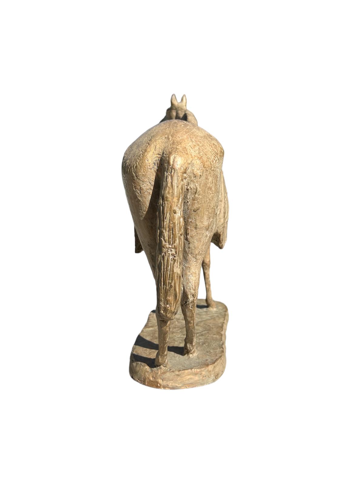 Romano Vio - Cavallo con drappo