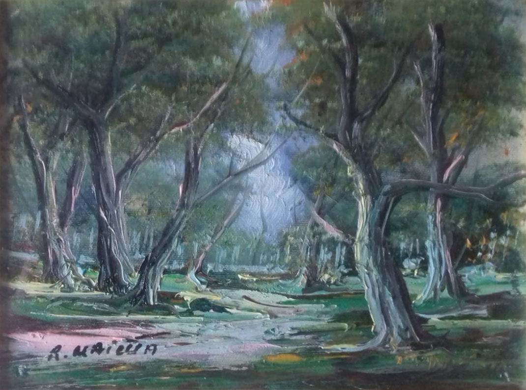 Raffaele Maietta - Senza titolo