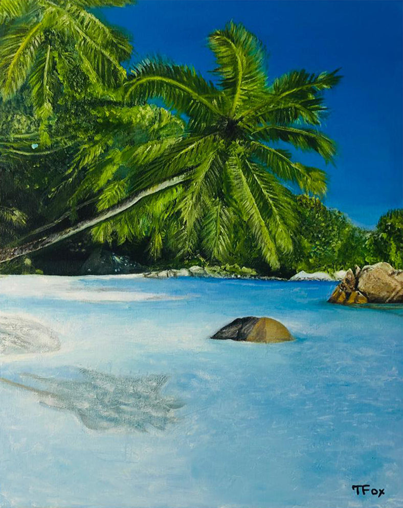 Temana Fox - Seychelles
