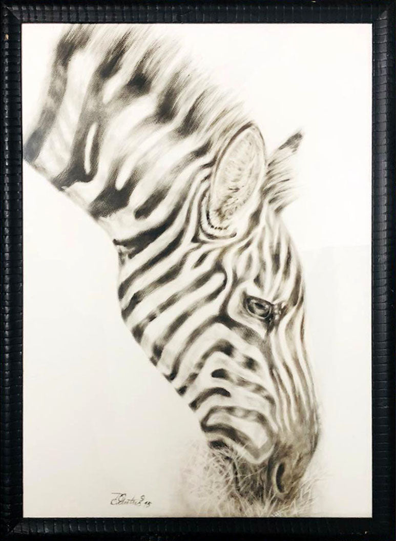 Daniela Pintus - African Zebra