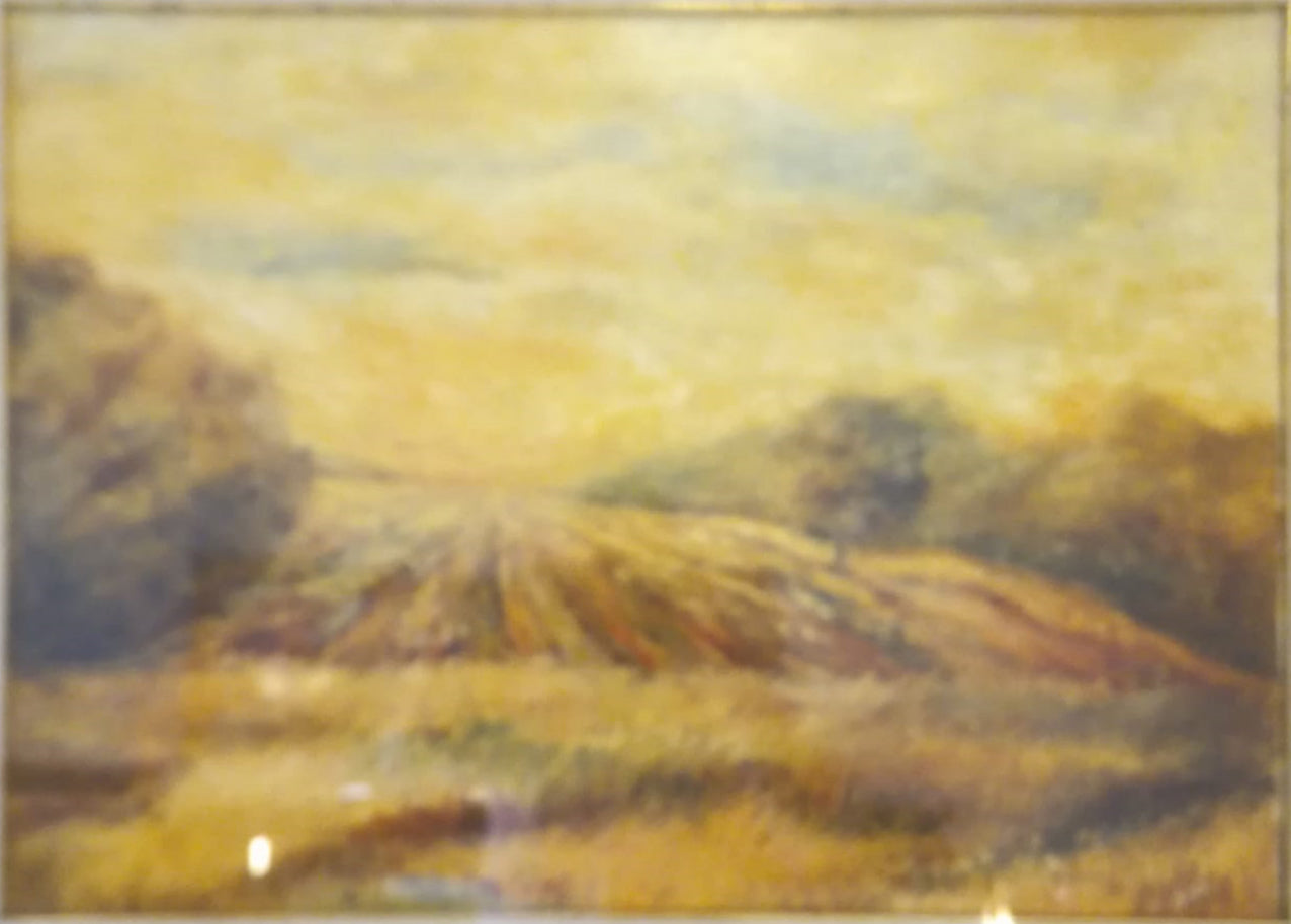 Massimo Ada - Campo di grano